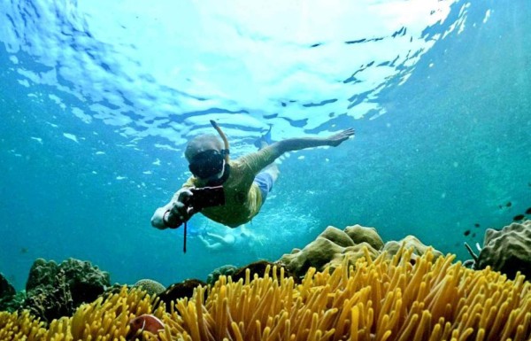 Full Day Snorkeling Trip To Utopia-Tobia ( Daily )