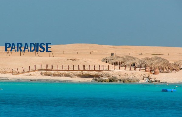 Snorkeling Trip To Paradise Island Trip  ( Daily )