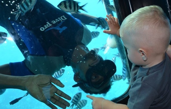 Sindbad Submarine Trip  (Daily)